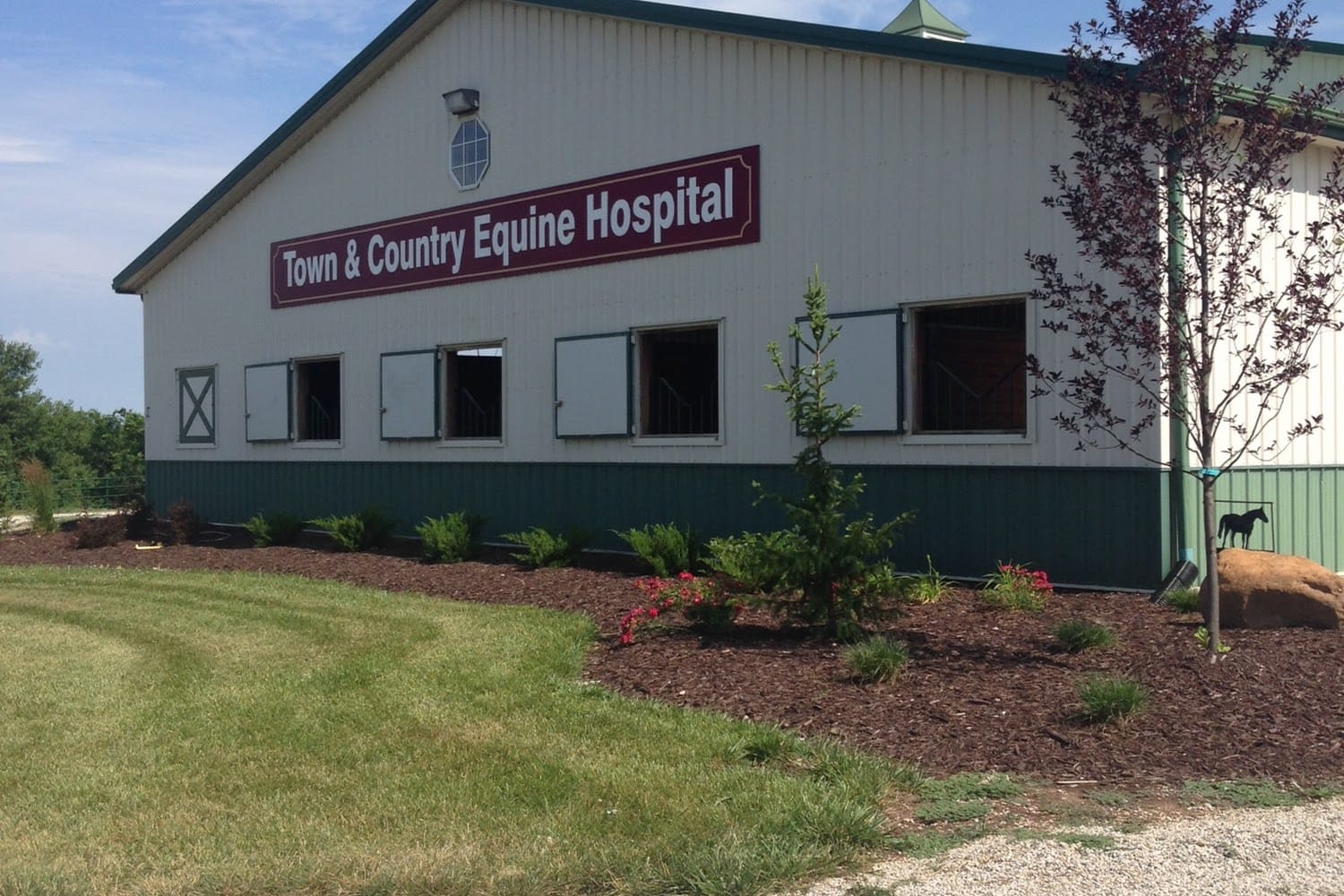 Town & Country Equine Hospital