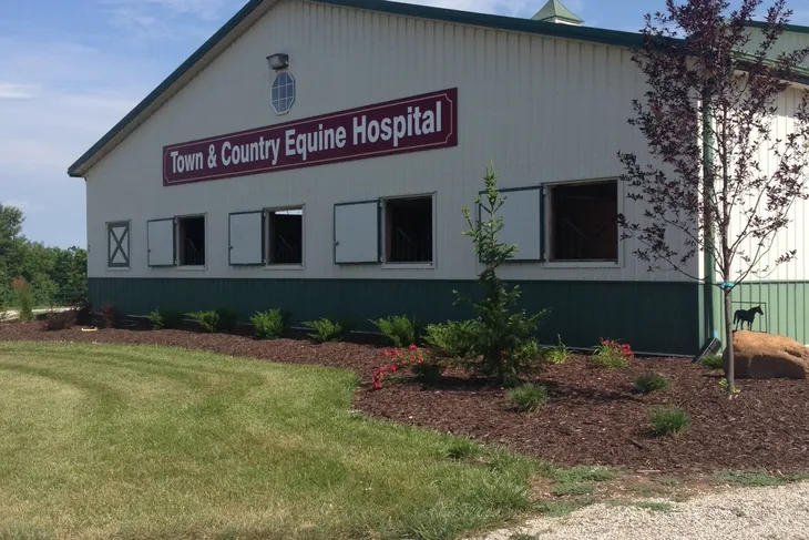 Town & Country Equine Hospital