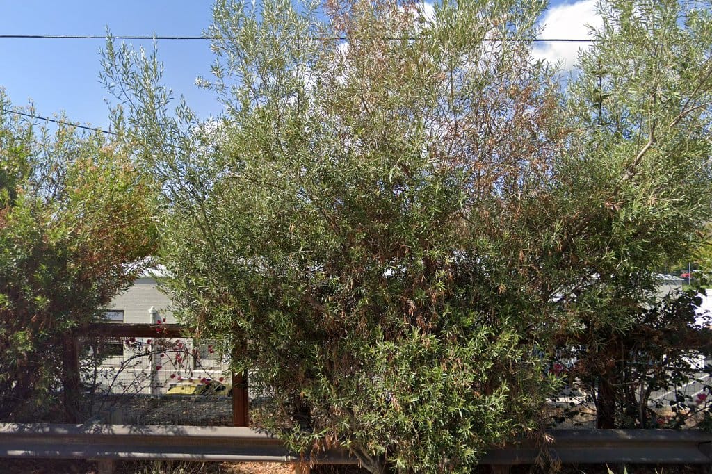 Junipero Serra High School