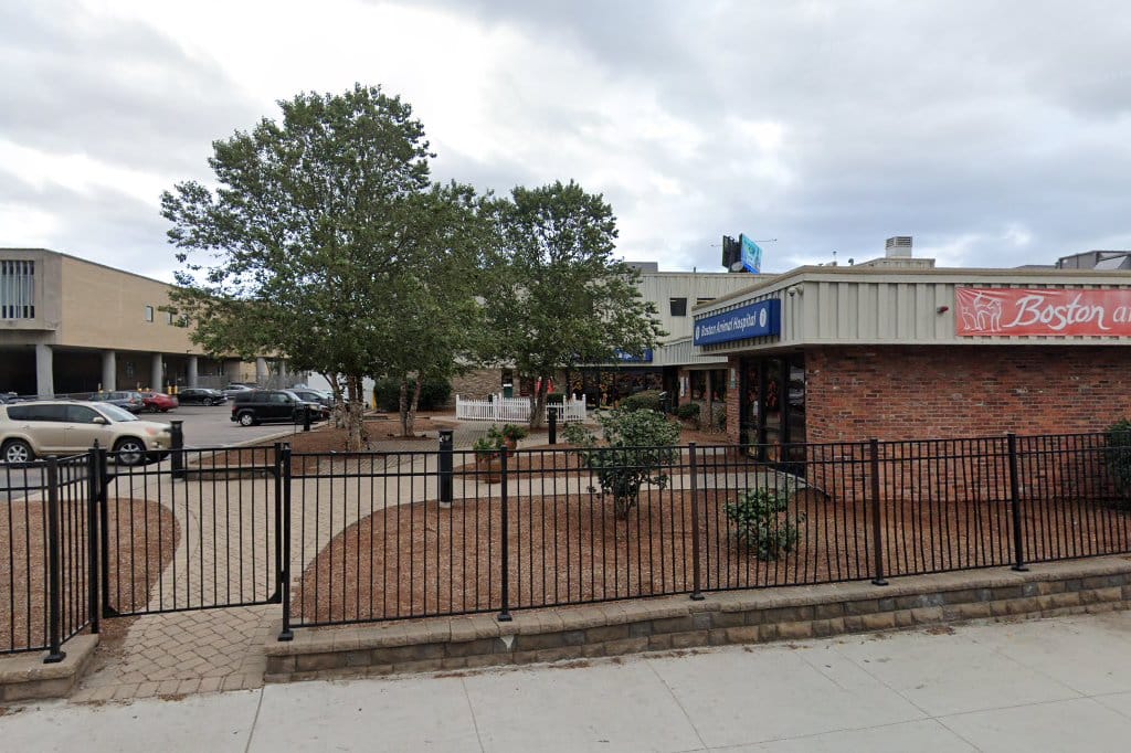 Boston Animal Hospital