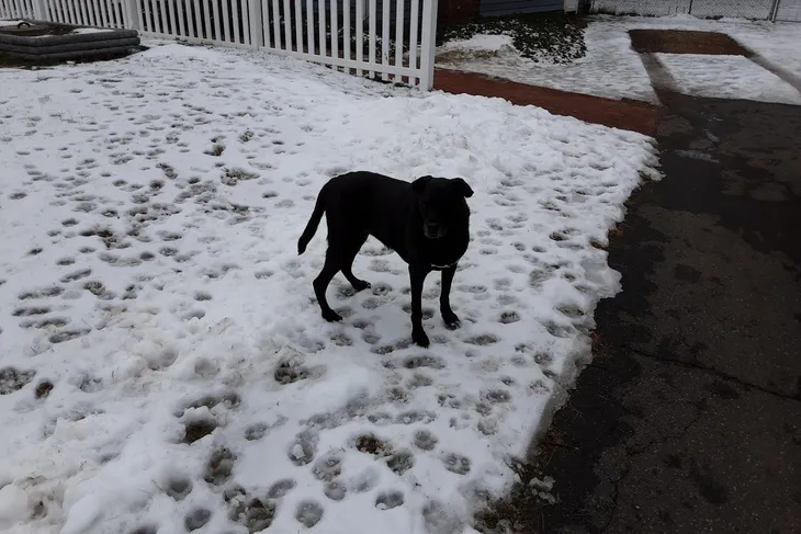Belchertown Veterinary Hospital
