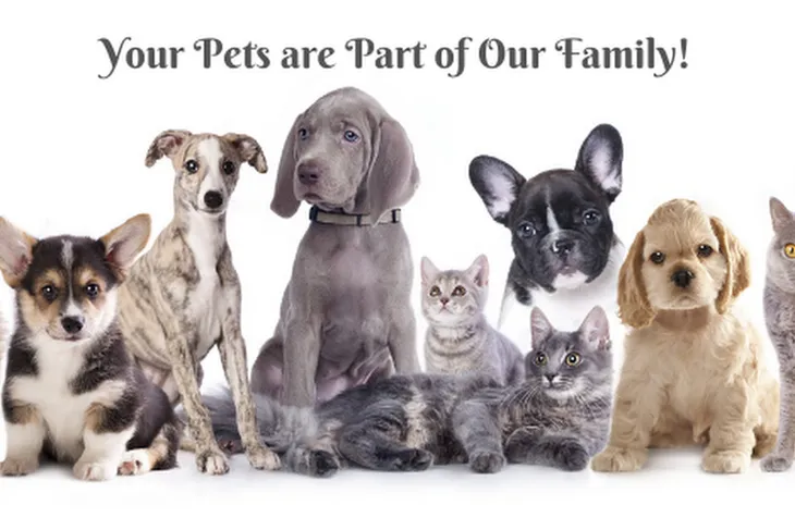 Cambridge Veterinary Care