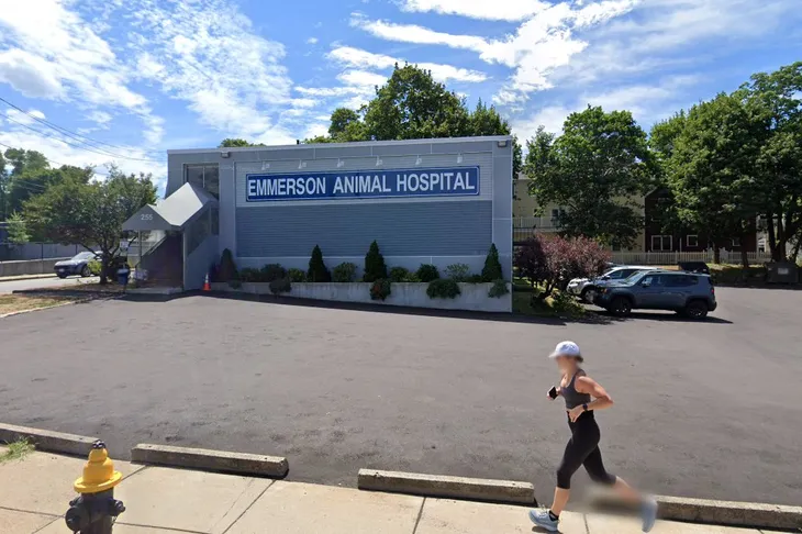 Emmerson Animal Hospital