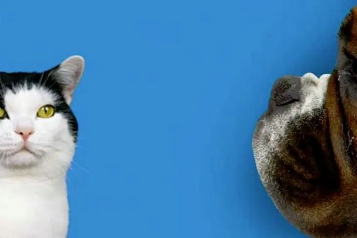 Grantline Veterinary Hospital