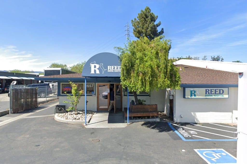 Reed Animal Hospital