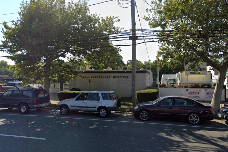 A & A Veterinary Hospital