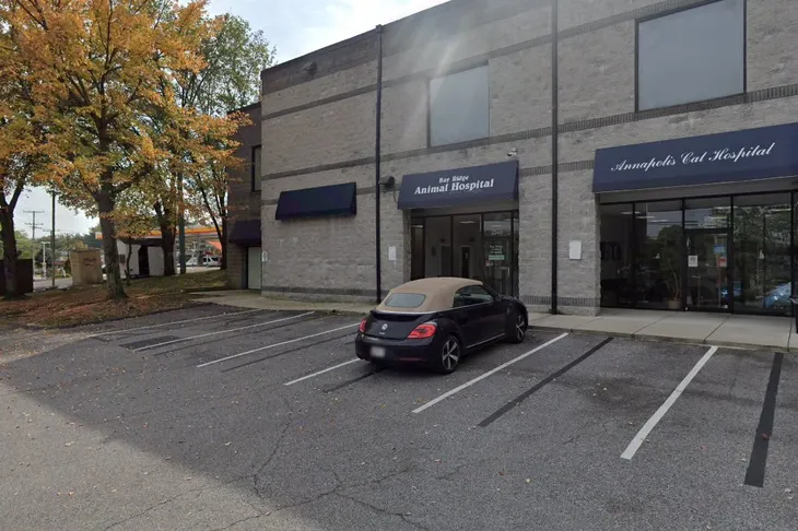 Annapolis Cat Hospital