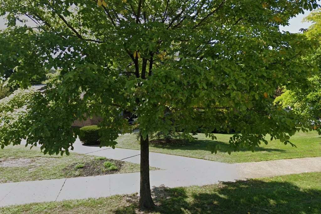 Hyde Park Town Court