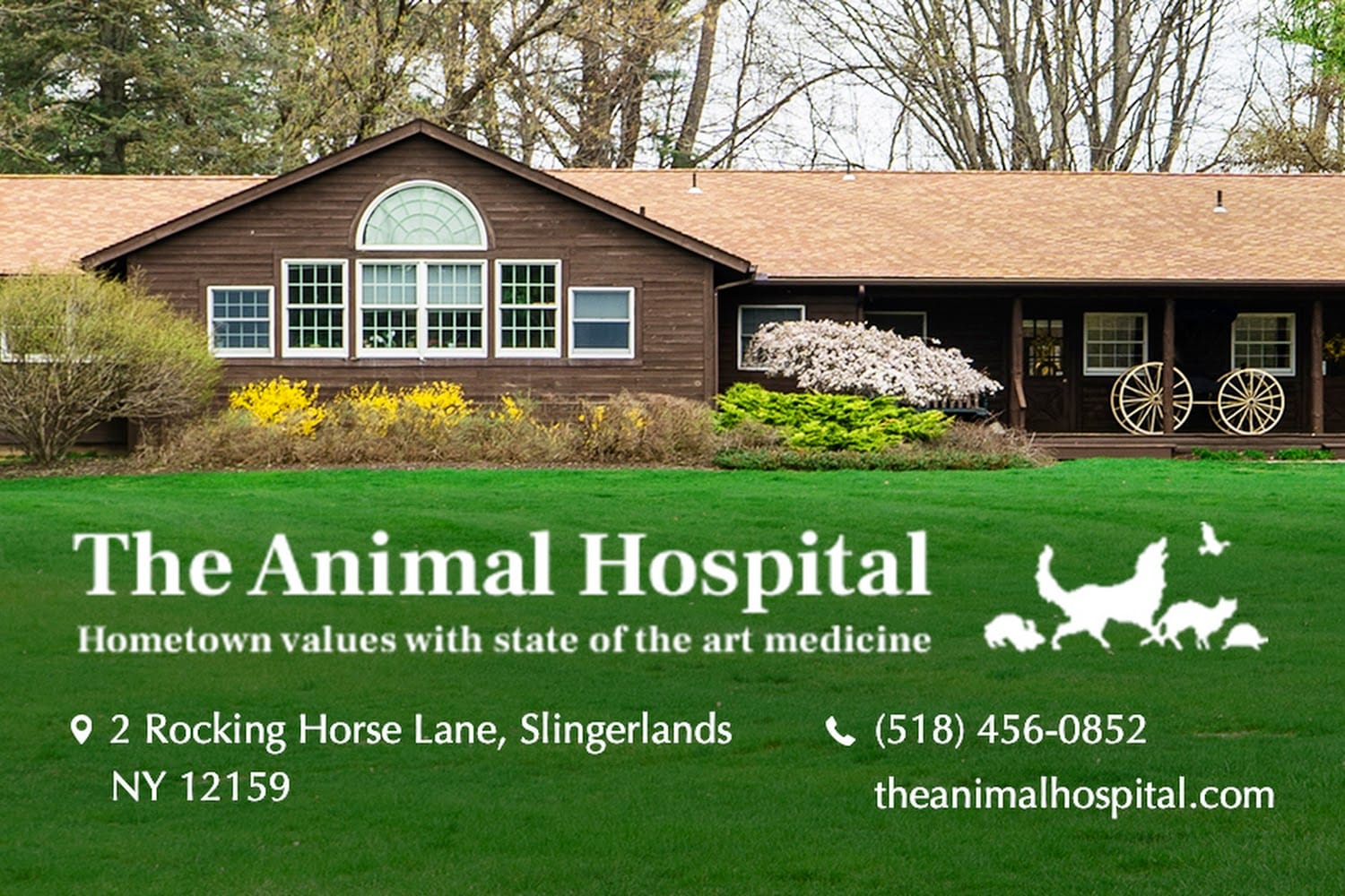 The Animal Hospital