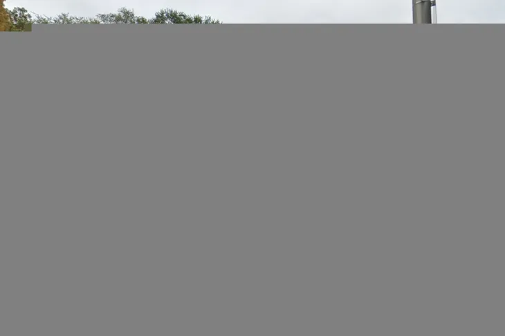 Wignall Animal Hospital