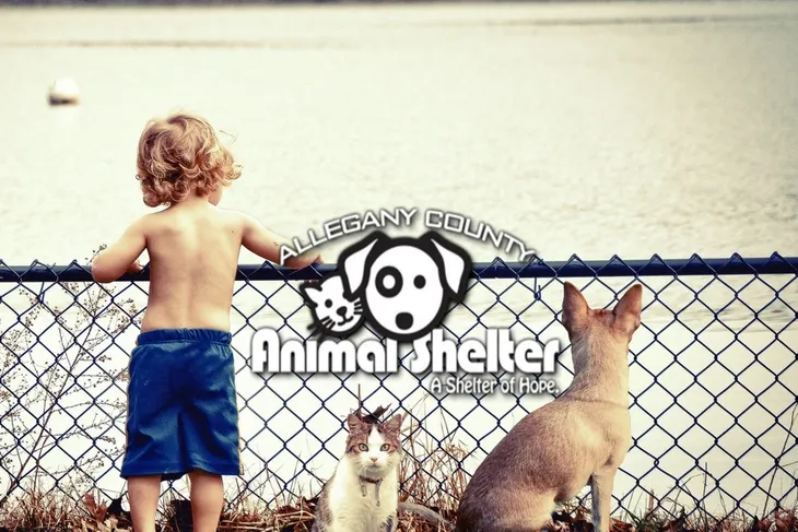 Allegany County Animal Shelter