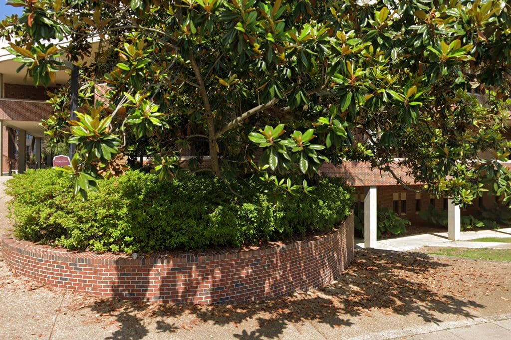 Warren D Allen Music Library