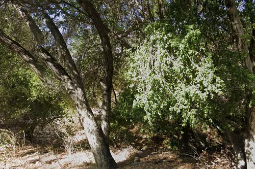 Mesivta of Greater Los Angeles