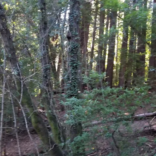 San Lorenzo Valley High School