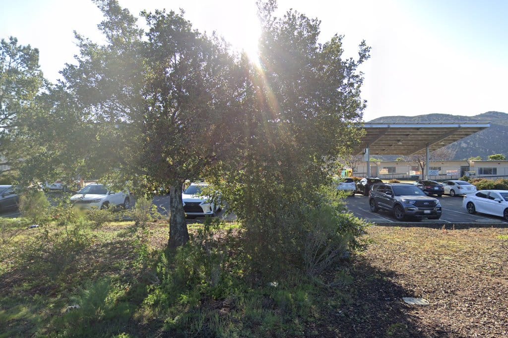 Blossom Valley Elementary School