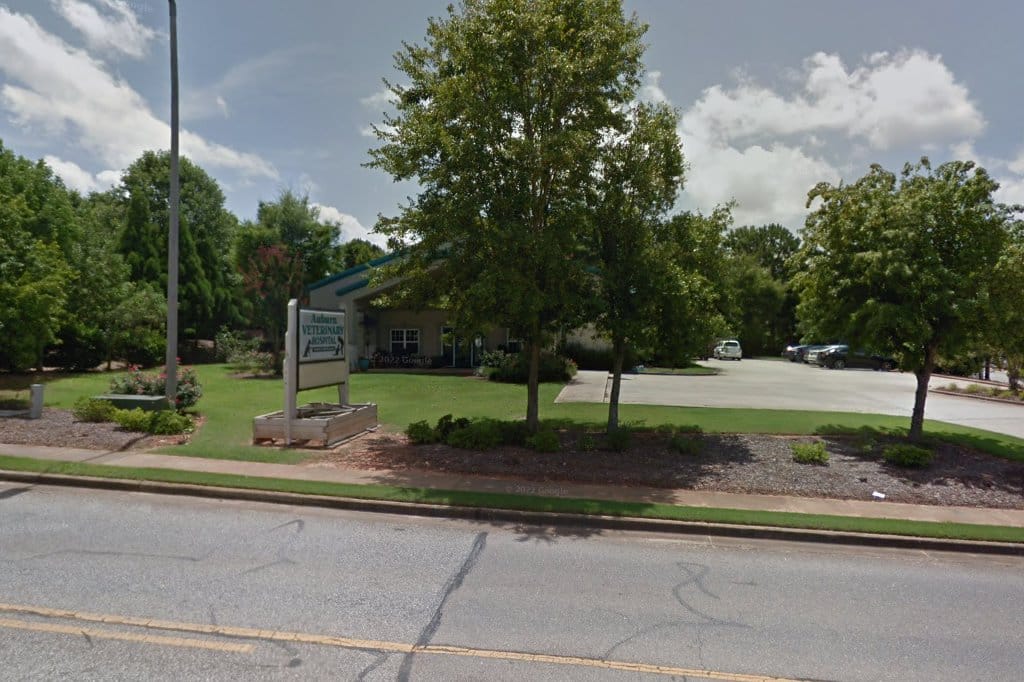 Auburn Veterinary Hospital