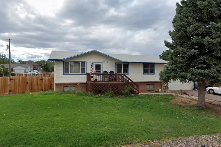 Front Range Labrador