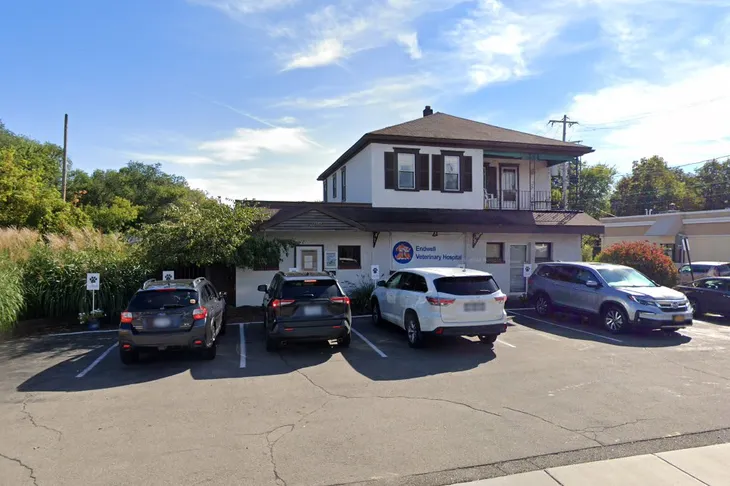 Endwell Animal Hospital