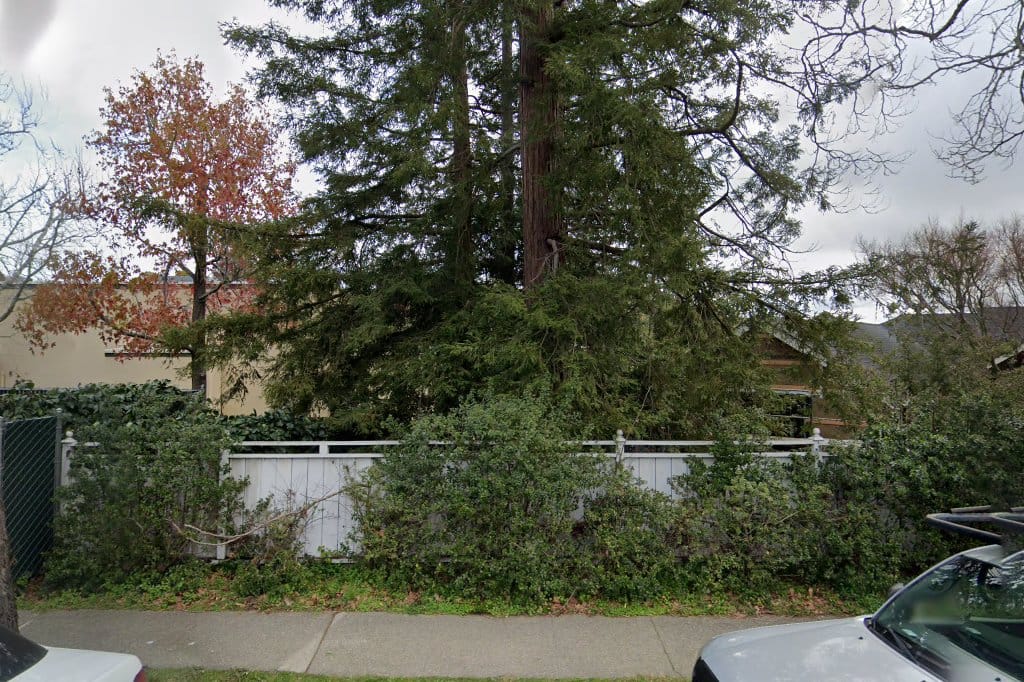 Marin Primary & Middle School