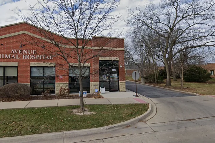Avenue Animal Hospital