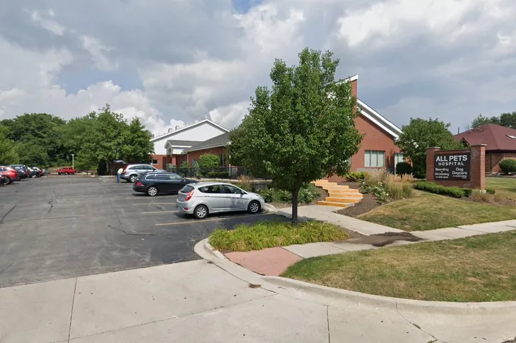 All Pets Hospital