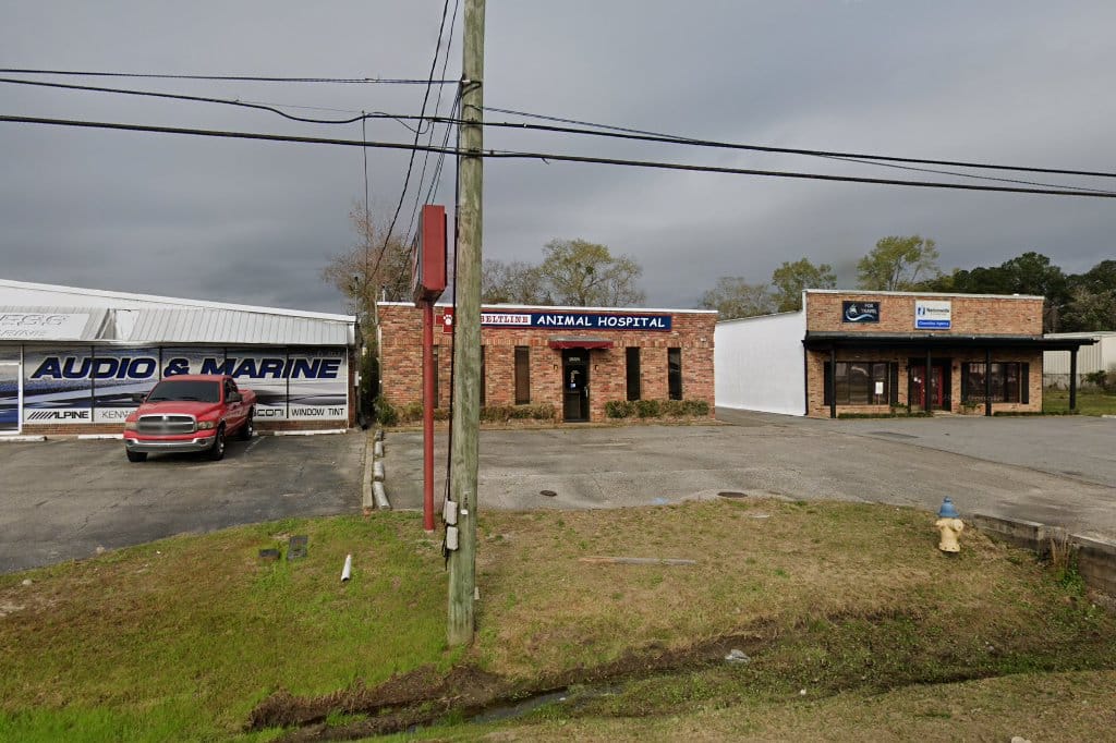 Beltline Animal Hospital