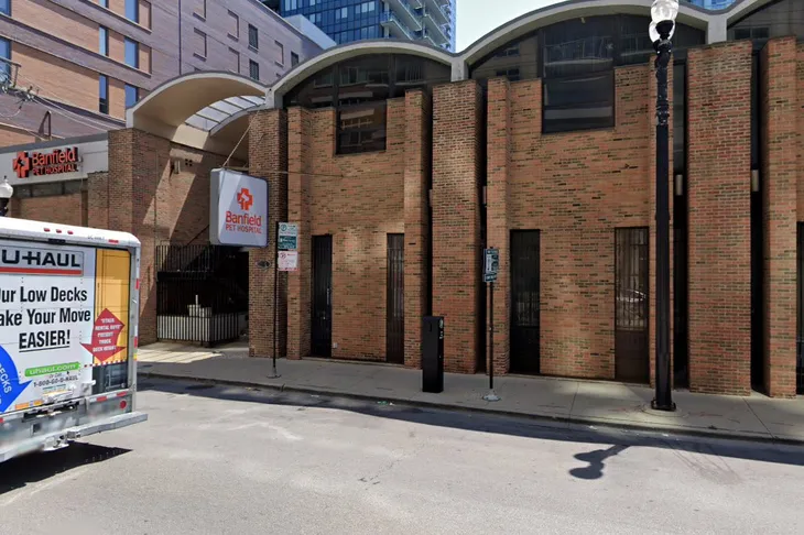 Gold Coast Animal Hospital