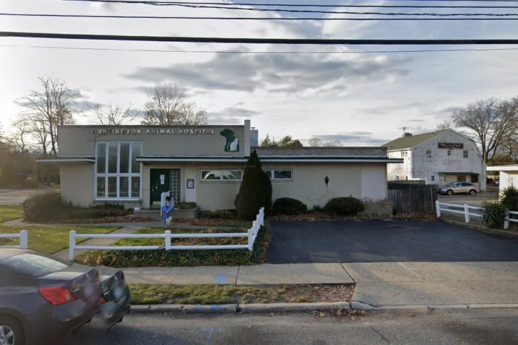 Huntington Animal Hospital