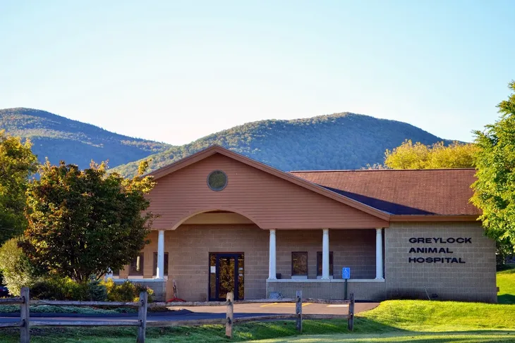 Grey Lock Animal Hospital