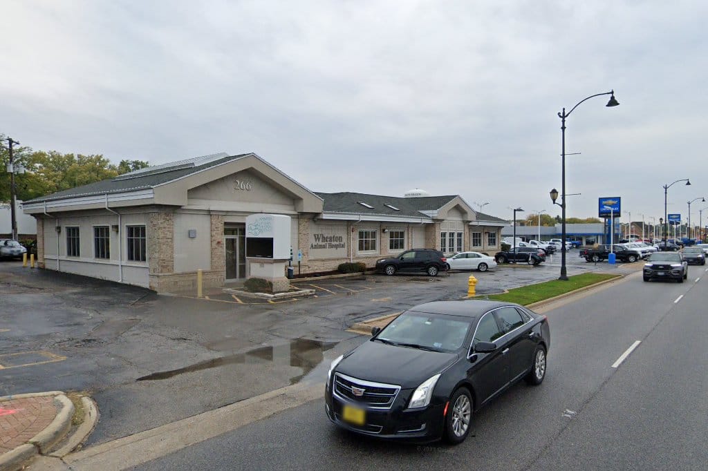 Animal Hospitals in Glen Ellyn, IL Pets TheCountyOffice