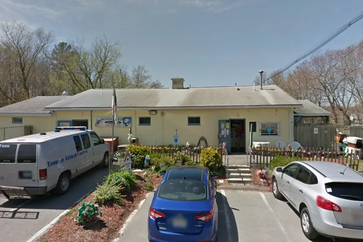Taunton Animal Control