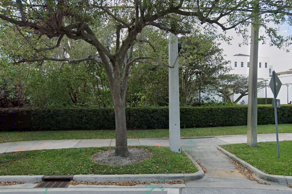 Norton Museum of Art
