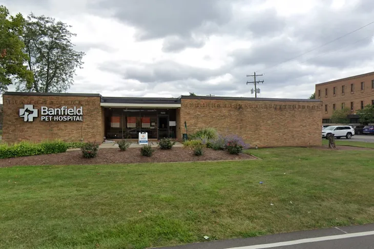 Forest Park Veterinary Clinic