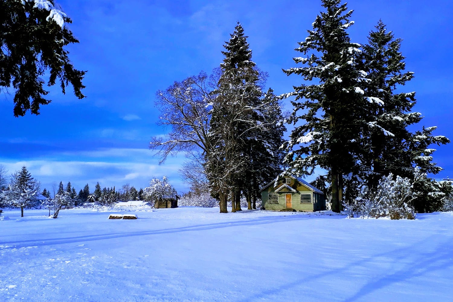 Yelm Vehicle Licensing Office