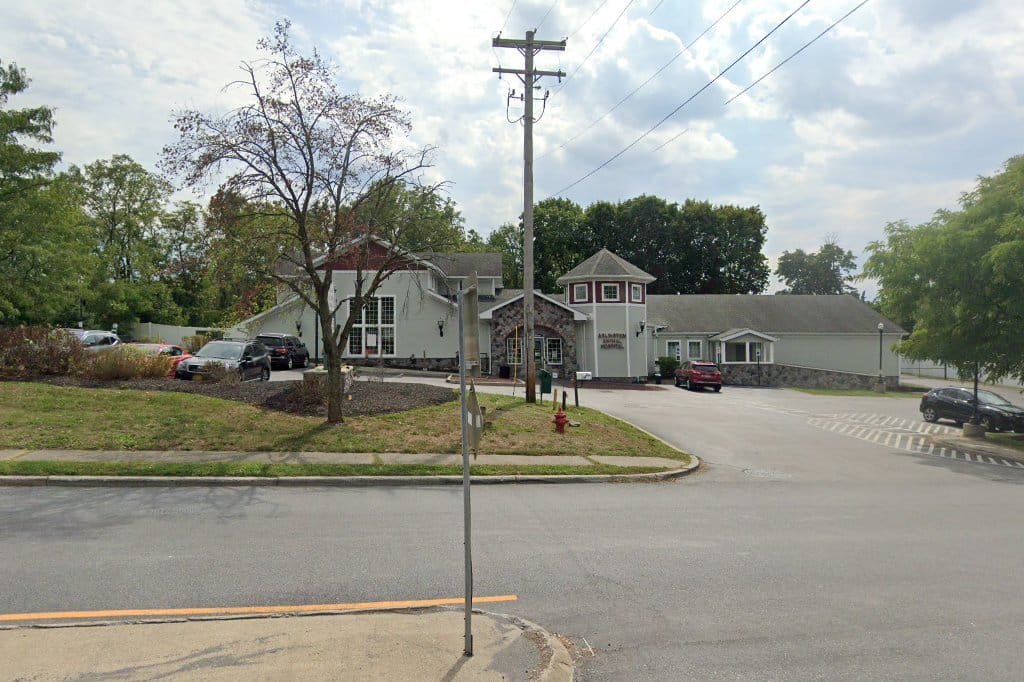 Arlington Animal Hospital