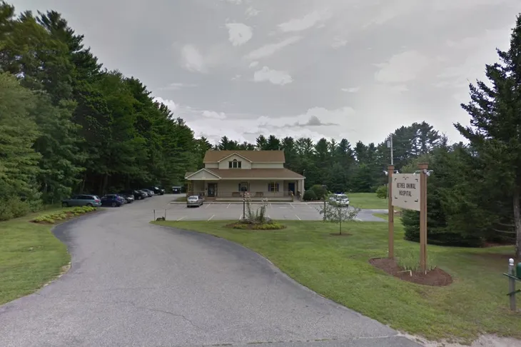 Bethel Animal Hospital