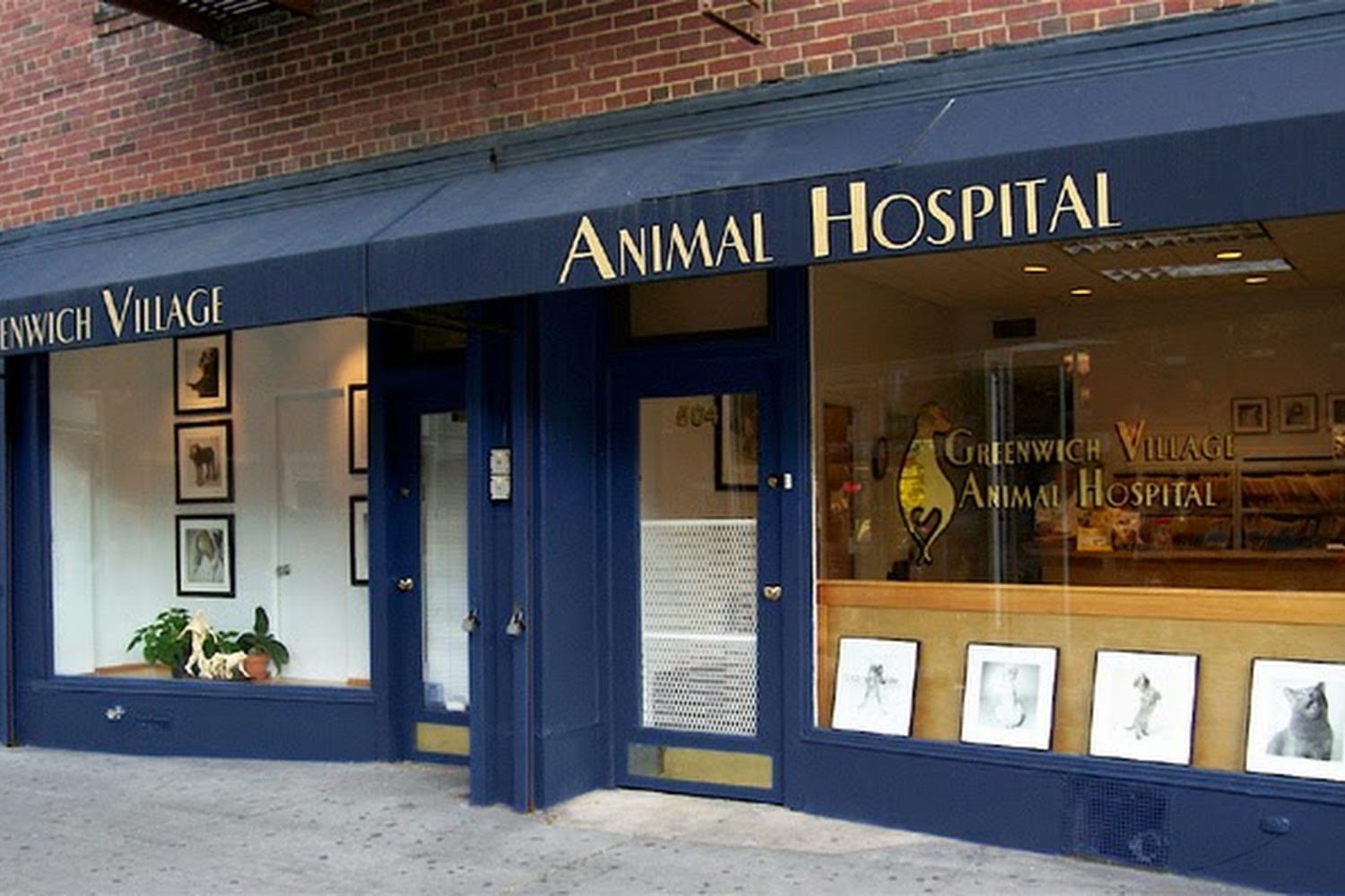 Greenwich Village Animal Hospital