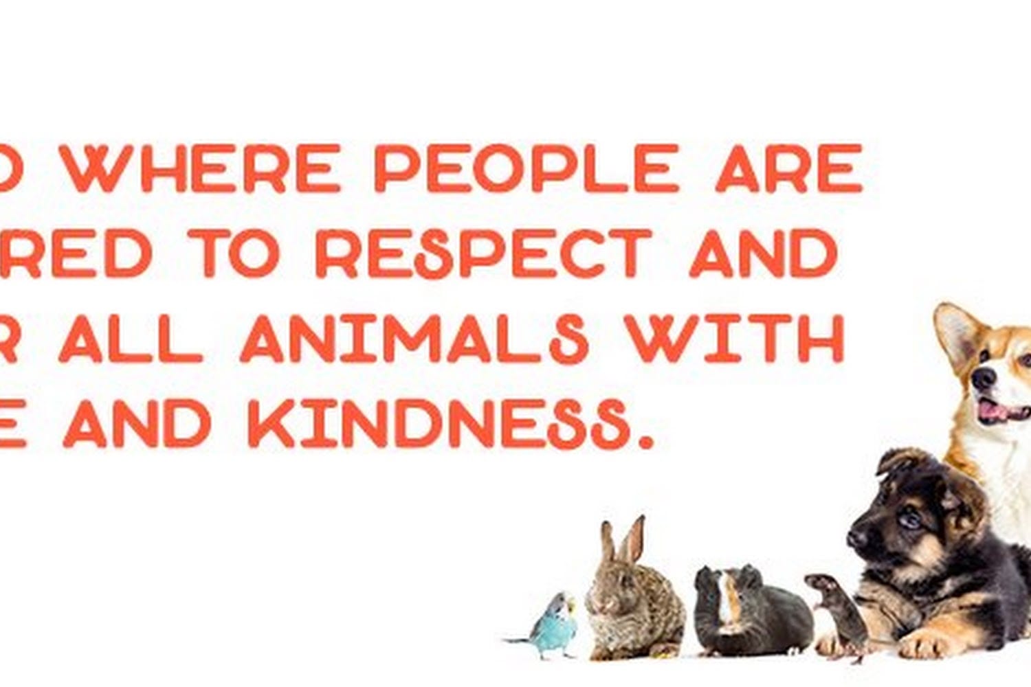 Animal Rescue League of Berks County