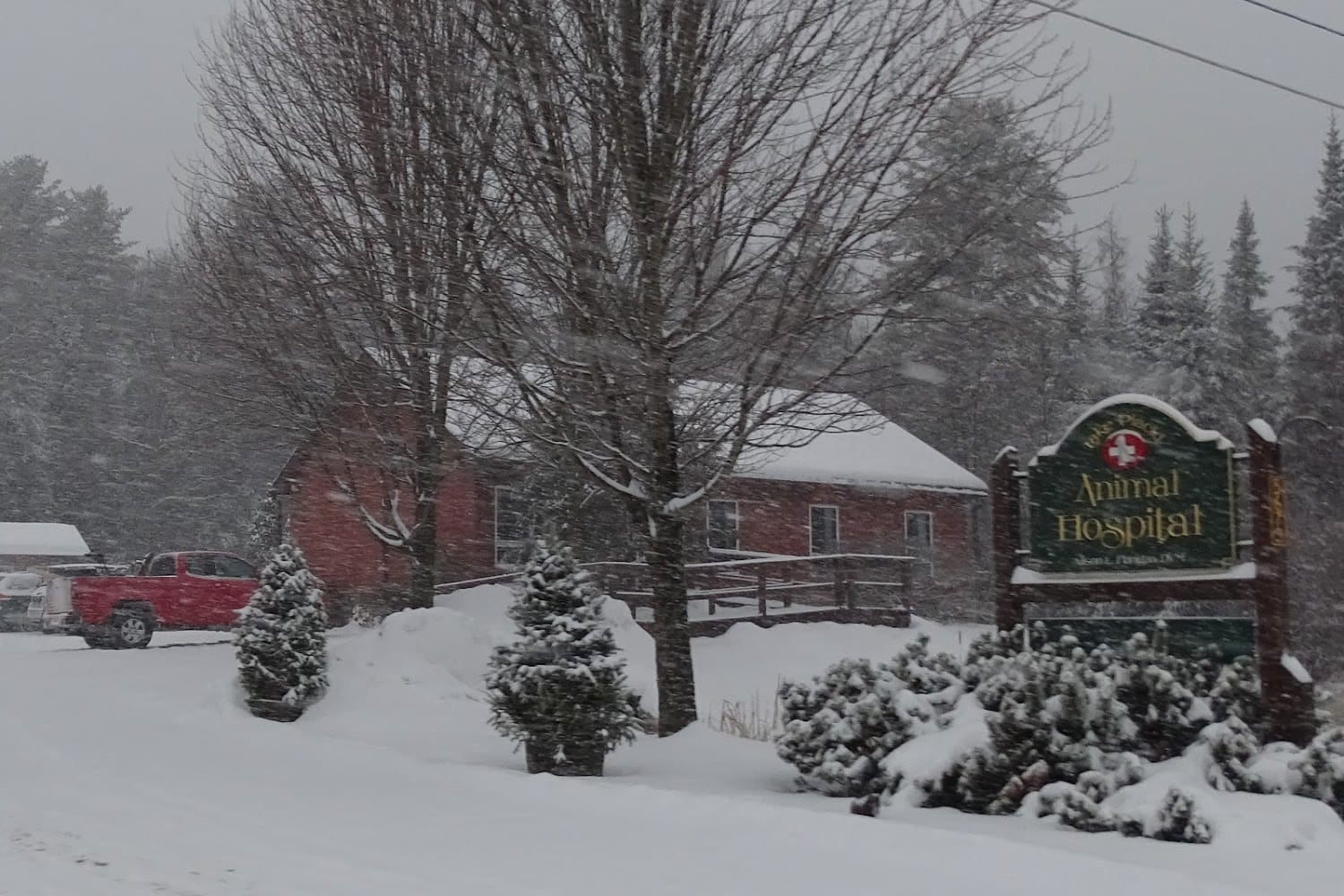 Lake Placid Animal Hospital