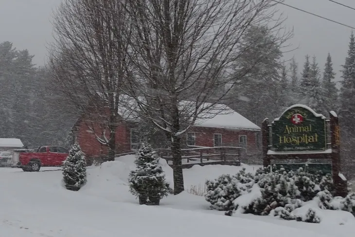 Lake Placid Animal Hospital