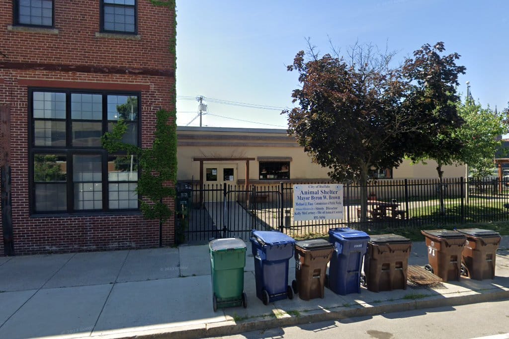 Animal Shelter in Buffalo, NY The County Office