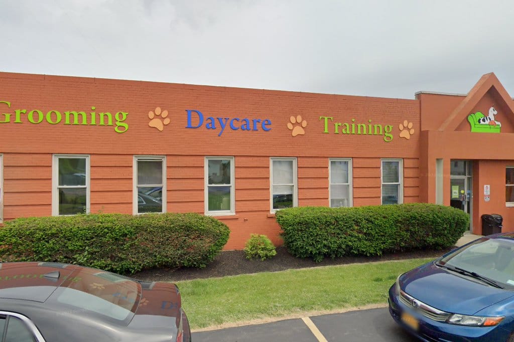 SPCA Serving Erie County