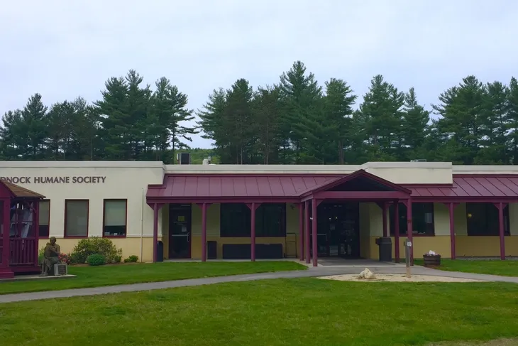 Monadnock Humane Society