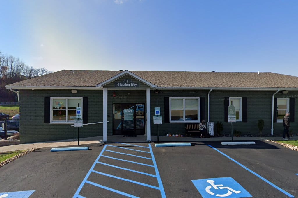 KVet Animal Care