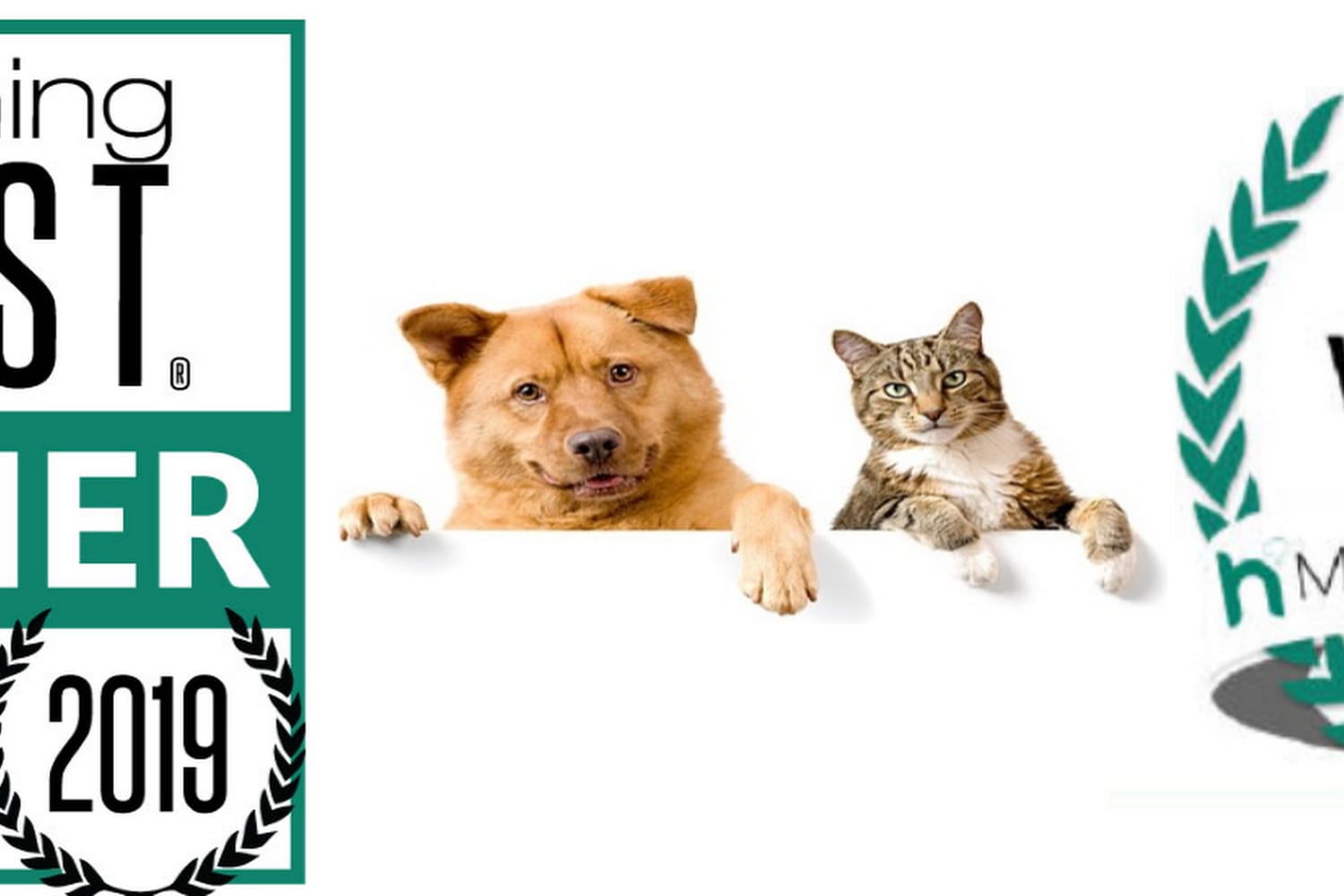 Patt Veterinary Hospital