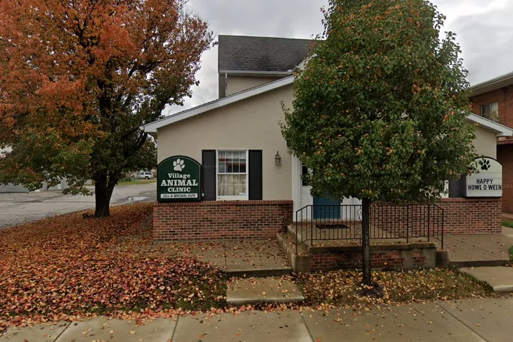 Village Animal Clinic LLC