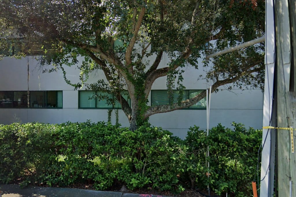 Clearwater Academy International
