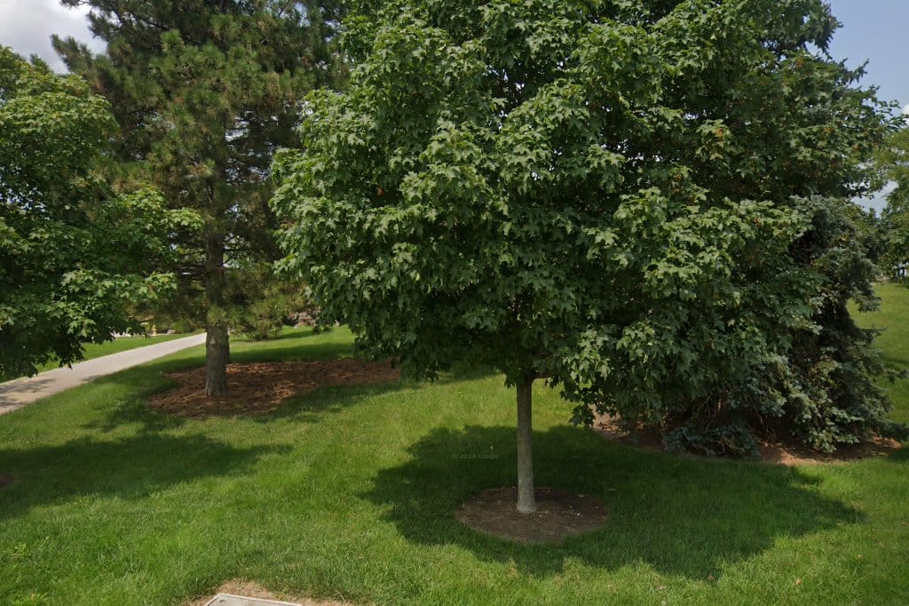 Owens Community College