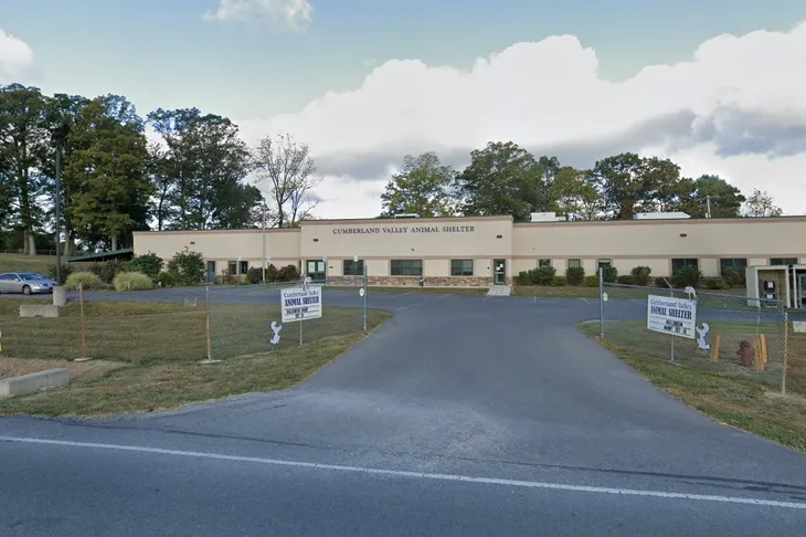 Cumberland Valley Animal Shelter
