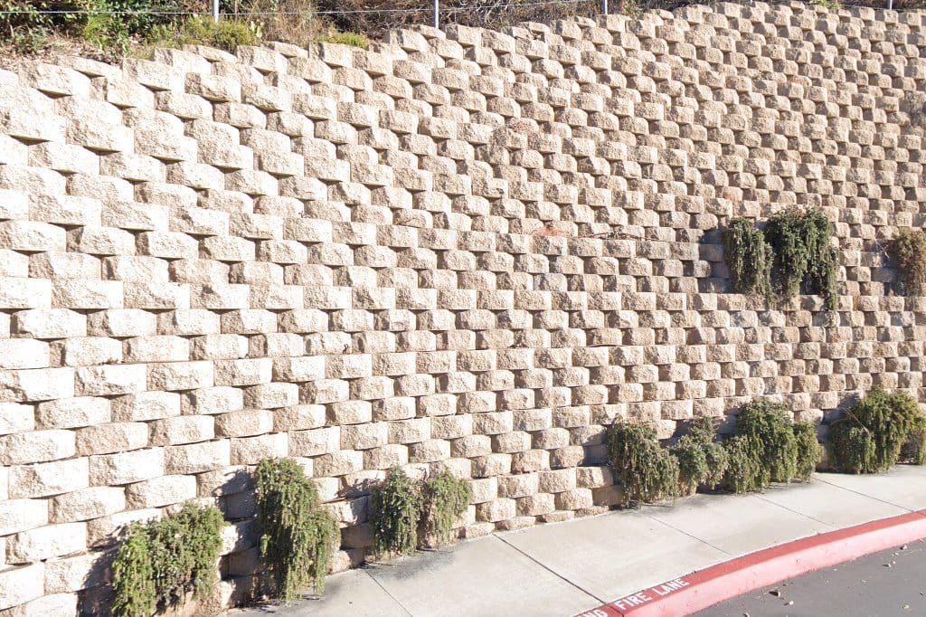 University of San Diego